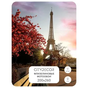 Фотообои рулонные Citydecor Города и Архитектура 54 на флизелиновой основе 200x260 см