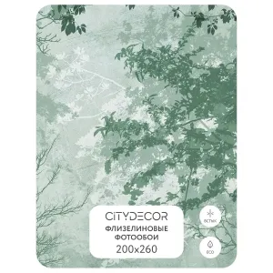 Дизайнерские фотообои рулонные Citydecor Dark Side 33 на флизелиновой основе 200x260 см