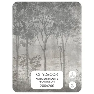 Дизайнерские фотообои рулонные Citydecor Dark Side 34 на флизелиновой основе 200x260 см