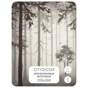 Дизайнерские фотообои рулонные Citydecor Dark Side 35 на флизелиновой основе 200x260 см