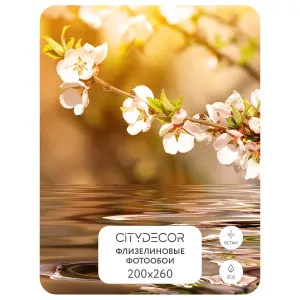 Фотообои рулонные Citydecor Цветы и Растения 151 на флизелиновой основе 200x260 см