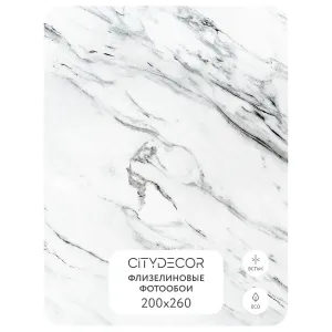 Фотообои рулонные Citydecor Флюид Арт 69 на флизелиновой основе 200x260 см