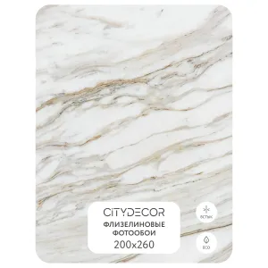 Фотообои рулонные Citydecor Флюид Арт 74 на флизелиновой основе 200x260 см