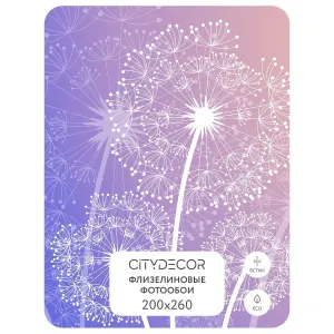 Фотообои рулонные Citydecor Невесомость 5 на флизелиновой основе 200x260 см