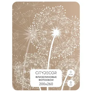 Фотообои рулонные Citydecor Невесомость 7 на флизелиновой основе 200x260 см