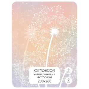 Фотообои рулонные Citydecor Невесомость 9 на флизелиновой основе 200x260 см