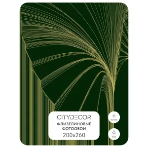 Фотообои рулонные Citydecor Perfect Lines 24 на флизелиновой основе 200x260 см