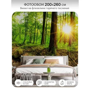 Фотообои рулонные Citydecor Природа 37 на флизелиновой основе 200x260 см