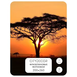 Фотообои рулонные Citydecor Природа 94 на флизелиновой основе 200x260 см