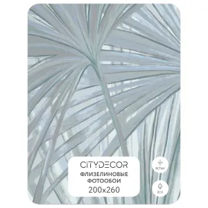 Дизайнерские фотообои рулонные Citydecor Sunset 34 на флизелиновой основе 200x260 см