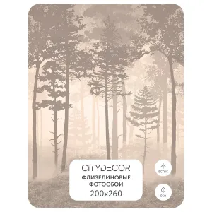 Дизайнерские фотообои рулонные Citydecor Таинственный лес 10 на флизелиновой основе 200x260 см