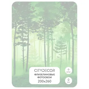 Дизайнерские фотообои рулонные Citydecor Таинственный лес 12 на флизелиновой основе 200x260 см