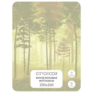 Дизайнерские фотообои рулонные Citydecor Таинственный лес 7 на флизелиновой основе 200x260 см