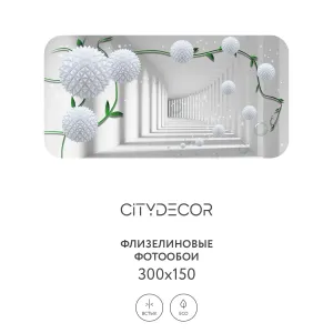 Фотообои рулонные Citydecor Абстракция 201 на флизелиновой основе 300x150 см