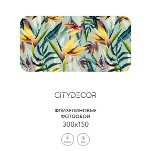 Фотообои рулонные Citydecor Абстракция 67 на флизелиновой основе 300x150 см