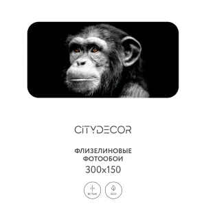Фотообои рулонные Citydecor Животные и Птицы 5 на флизелиновой основе 300x150 см Фотообои рулонные Citydecor Животные и Птицы 5 на флизелиновой основе 300x150 см
