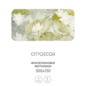 Дизайнерские фотообои рулонные Citydecor Blossom 12 на флизелиновой основе 300x150 см