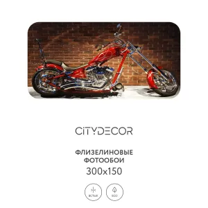 Фотообои рулонные Citydecor Транспорт 23 на флизелиновой основе 300x150 см