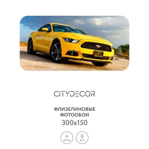 Фотообои рулонные Citydecor Транспорт 24 на флизелиновой основе 300x150 см