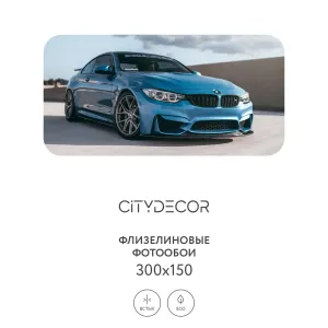 Фотообои рулонные Citydecor Транспорт 30 на флизелиновой основе 300x150 см