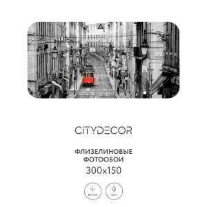 Фотообои рулонные Citydecor Города и Архитектура 53 на флизелиновой основе 300x150 см
