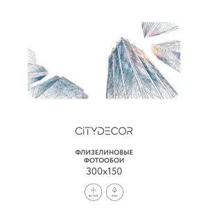 Фотообои рулонные Citydecor Города и Архитектура 78 на флизелиновой основе 300x150 см