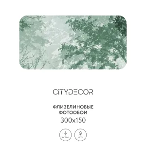 Дизайнерские фотообои рулонные Citydecor Dark Side 33 на флизелиновой основе 300x150 см