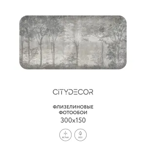 Дизайнерские фотообои рулонные Citydecor Dark Side 34 на флизелиновой основе 300x150 см