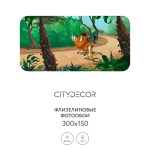 Фотообои рулонные Citydecor Детская 376 на флизелиновой основе 300x150 см