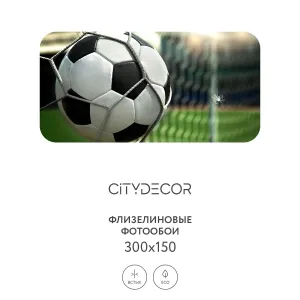 Фотообои рулонные Citydecor Детская 379 на флизелиновой основе 300x150 см