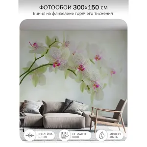 Фотообои рулонные Citydecor Цветы и Растения 34 на флизелиновой основе 300x150 см