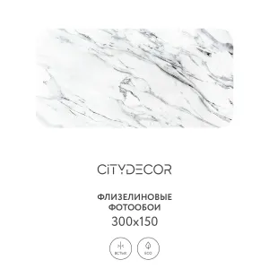 Фотообои рулонные Citydecor Флюид Арт 69 на флизелиновой основе 300x150 см