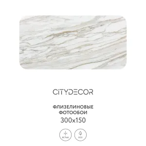 Фотообои рулонные Citydecor Флюид Арт 74 на флизелиновой основе 300x150 см