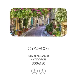 Фотообои рулонные Citydecor Фреска 54 на флизелиновой основе 300x150 см Фотообои рулонные Citydecor Фреска 54 на флизелиновой основе 300x150 см
