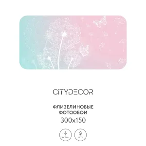 Фотообои рулонные Citydecor Невесомость 1 на флизелиновой основе 300x150 см