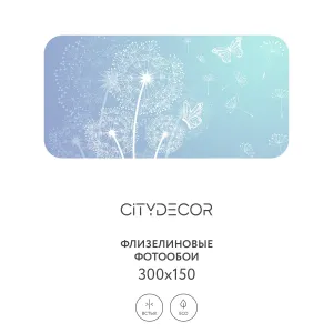 Фотообои рулонные Citydecor Невесомость 2 на флизелиновой основе 300x150 см