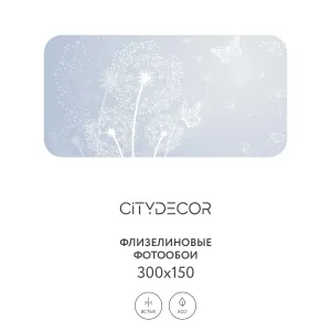 Фотообои рулонные Citydecor Невесомость 3 на флизелиновой основе 300x150 см