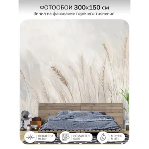 Фотообои рулонные Citydecor Невесомость 45 на флизелиновой основе 300x150 см