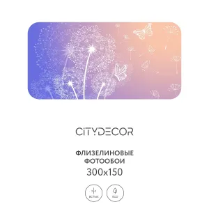 Фотообои рулонные Citydecor Невесомость 5 на флизелиновой основе 300x150 см