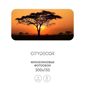 Фотообои рулонные Citydecor Природа 94 на флизелиновой основе 300x150 см