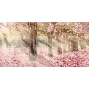 Фотообои рулонные Citydecor Сказочная природа 5 на флизелиновой основе 300x150 см