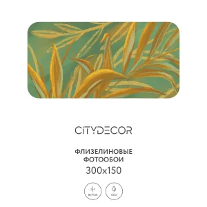 Дизайнерские фотообои рулонные Citydecor Sunset 21 на флизелиновой основе 300x150 см