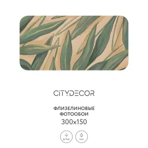 Дизайнерские фотообои рулонные Citydecor Sunset 22 на флизелиновой основе 300x150 см