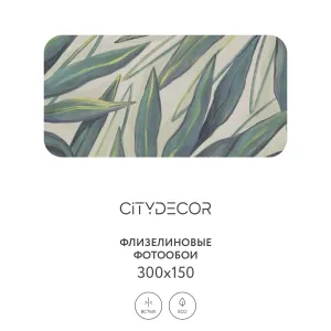 Дизайнерские фотообои рулонные Citydecor Sunset 23 на флизелиновой основе 300x150 см