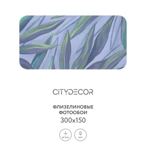 Дизайнерские фотообои рулонные Citydecor Sunset 24 на флизелиновой основе 300x150 см