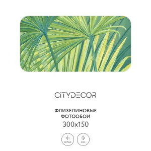 Дизайнерские фотообои рулонные Citydecor Sunset 30 на флизелиновой основе 300x150 см
