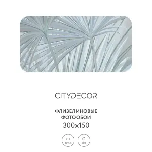 Дизайнерские фотообои рулонные Citydecor Sunset 34 на флизелиновой основе 300x150 см