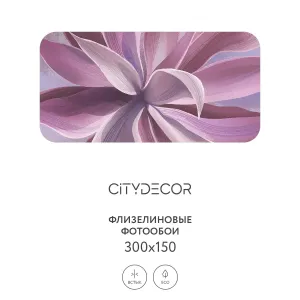 Дизайнерские фотообои рулонные Citydecor Sunset 41 на флизелиновой основе 300x150 см