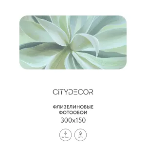 Дизайнерские фотообои рулонные Citydecor Sunset 43 на флизелиновой основе 300x150 см