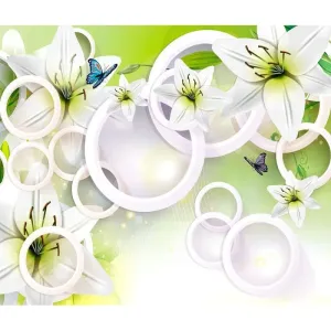 Фотообои рулонные Citydecor Круги 3D на флизелиновой основе 300x254 см